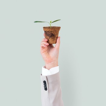 Hand holding plant save the environment… | Free stock photo | High Resolution image
