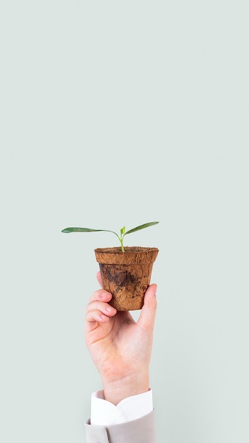 Hand holding plant save the environment… | Free stock photo | High Resolution image