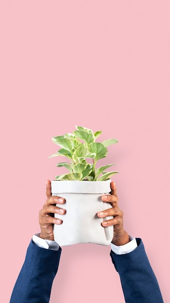 Hand holding plant save the environment… | Free stock photo | High Resolution image