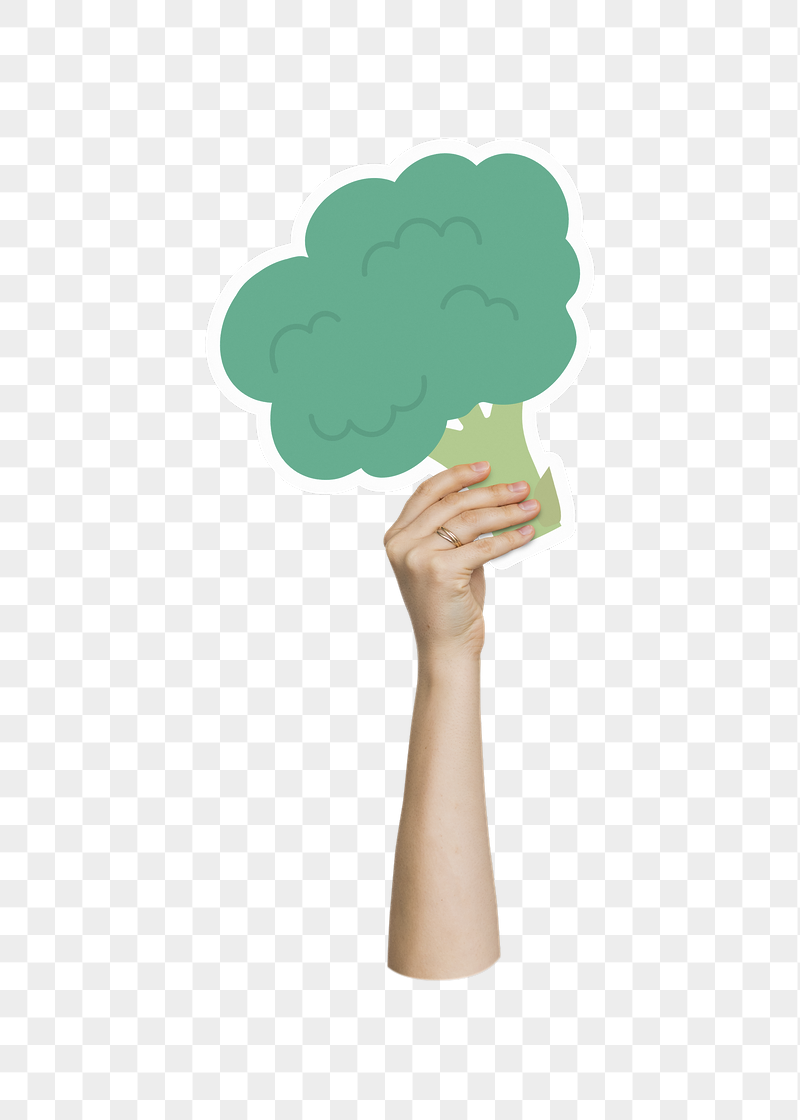 Hand holding png broccoli, transparent | Free PNG - rawpixel