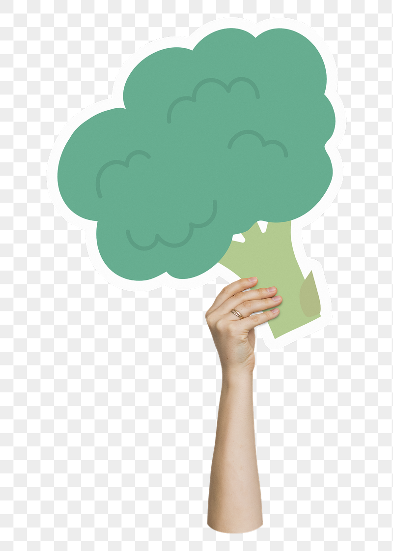Hand holding png broccoli, transparent | Free PNG - rawpixel