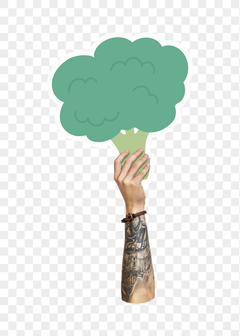 Hand holding png broccoli, transparent | Free PNG - rawpixel