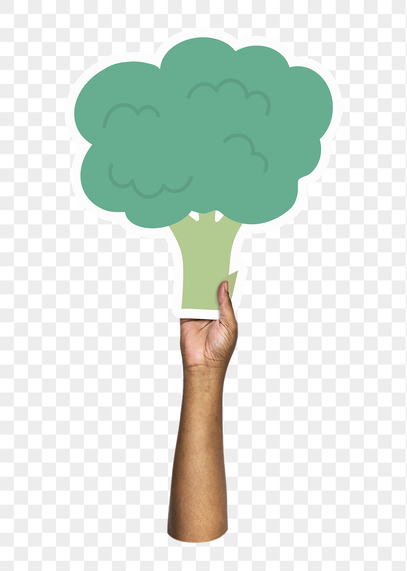 Hand holding png broccoli, transparent | Free PNG - rawpixel