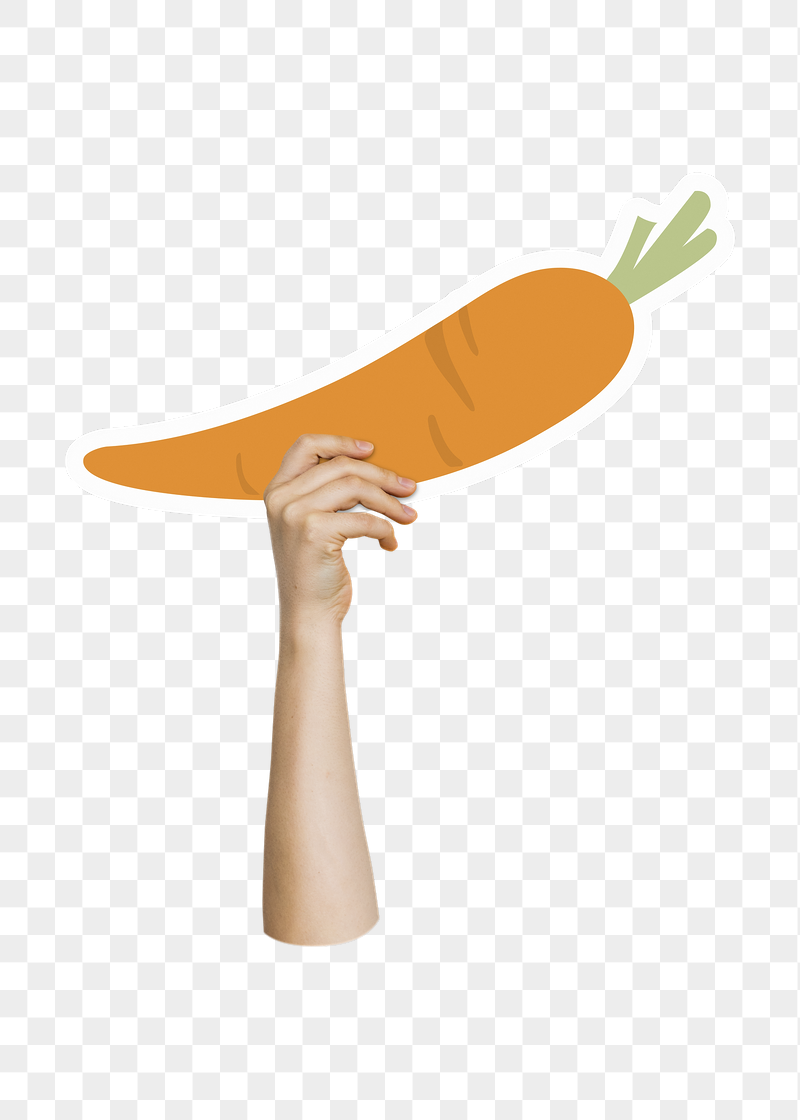 Hand holding png carrot, transparent | Free PNG - rawpixel