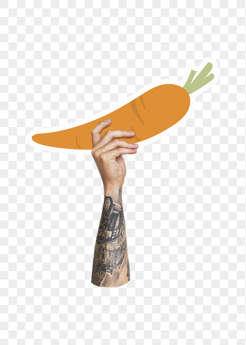 Hand holding png carrot, transparent | Free PNG - rawpixel