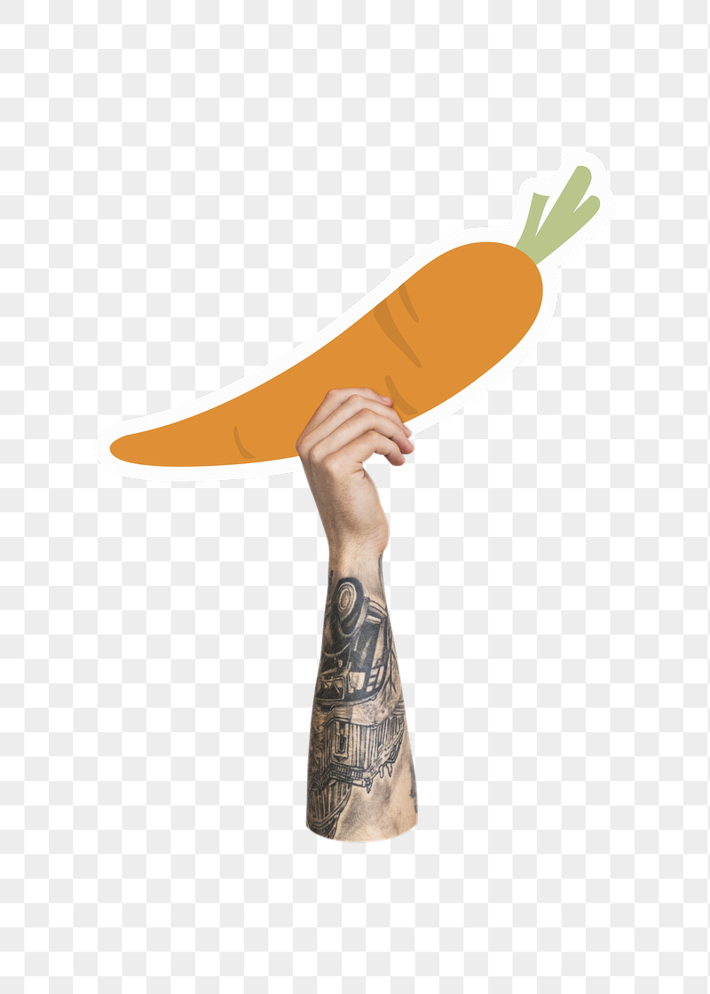Hand holding png carrot, transparent | Free PNG - rawpixel