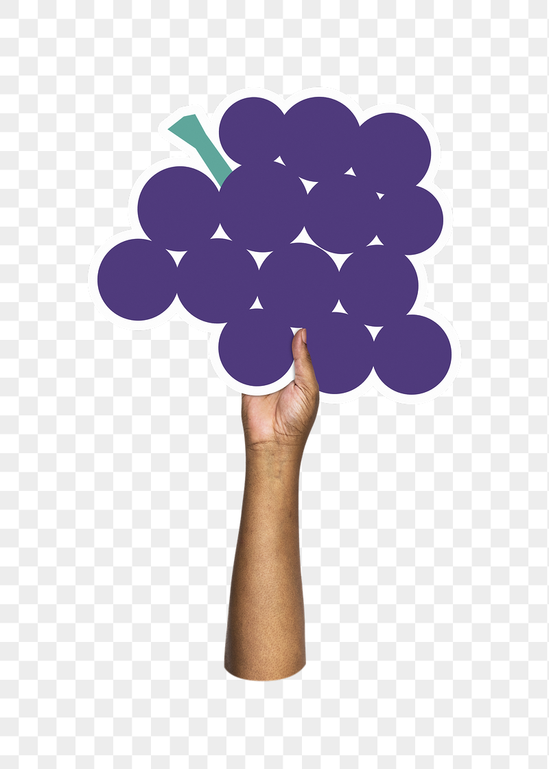 Hand holding png grapes, transparent | Free PNG - rawpixel