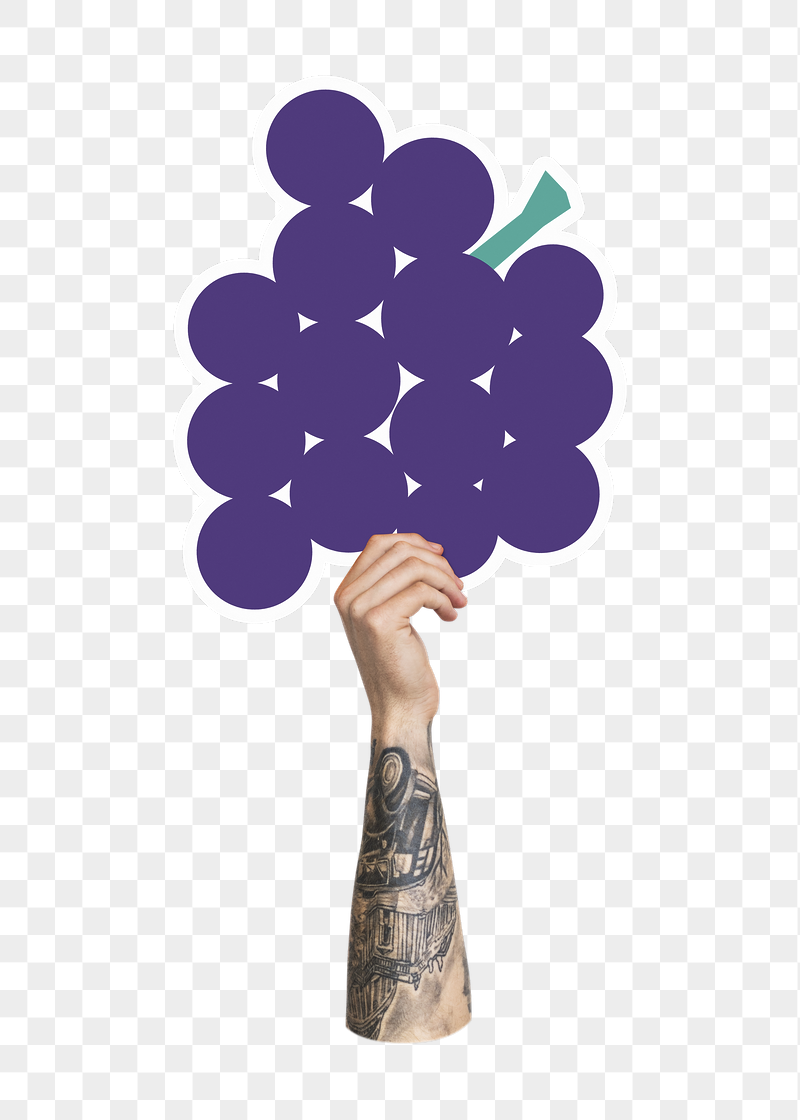 Hand holding png grapes, transparent | Free PNG - rawpixel
