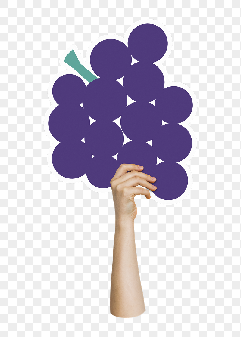 Hand holding png grapes, transparent | Free PNG - rawpixel