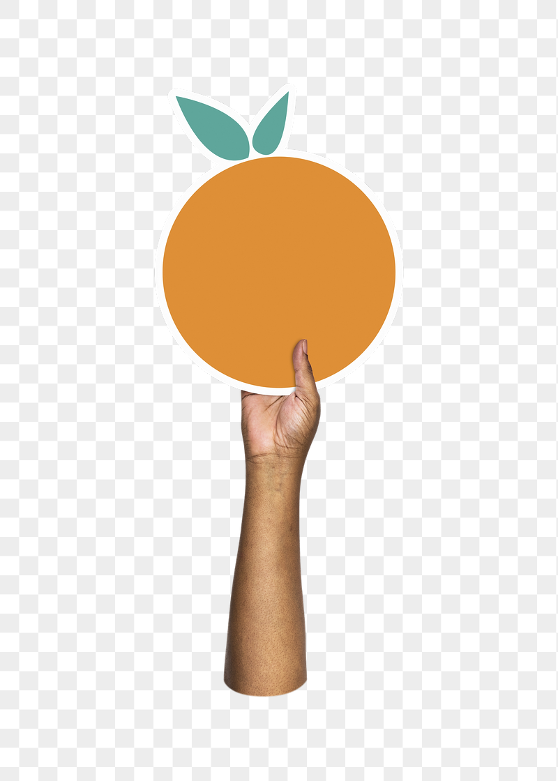 Hand holding png orange, transparent | Free PNG - rawpixel