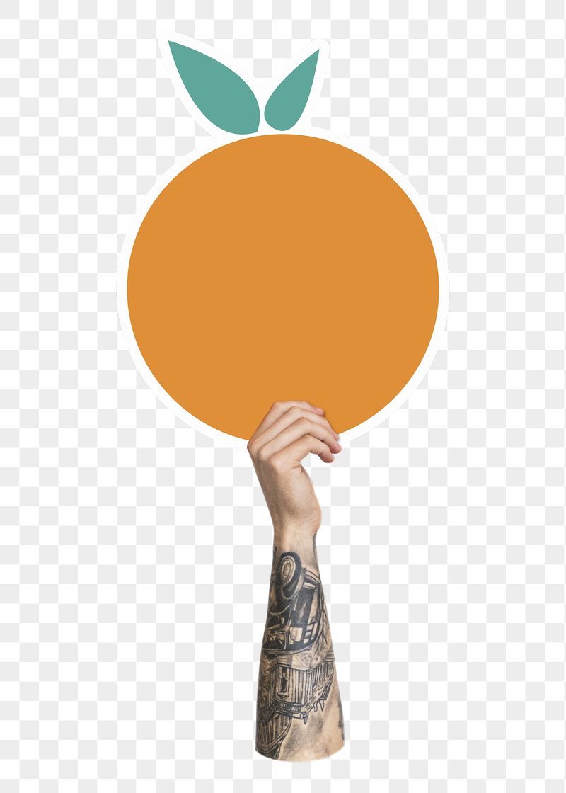 Hand holding png orange, transparent | Free PNG - rawpixel