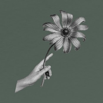 Hand holding sunflower collage element | Free Photo - rawpixel