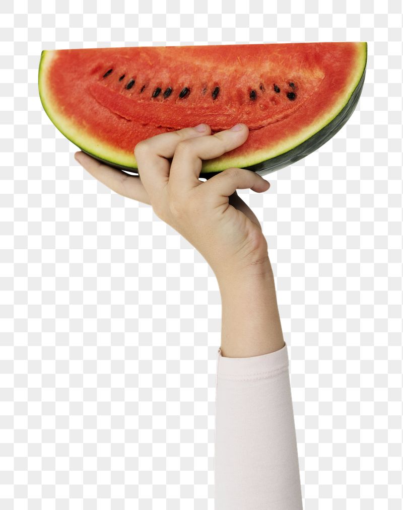 Hand holding watermelon png sticker, | Free PNG - rawpixel
