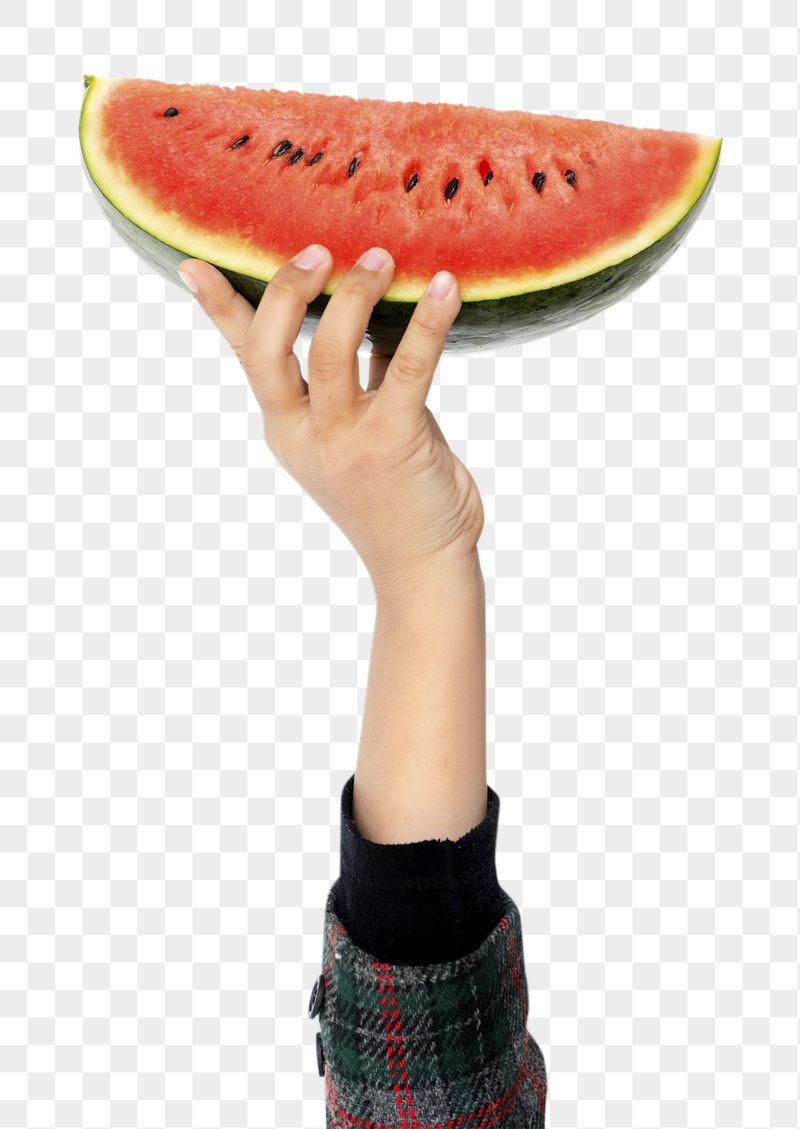Hand holding watermelon png sticker, | Free PNG - rawpixel