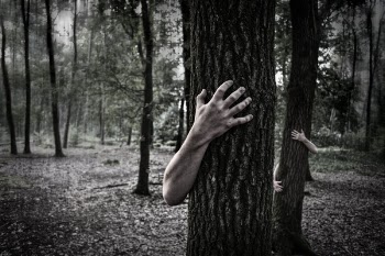 hand in the forest