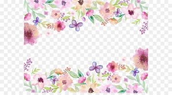 Hand painted colorful butterfly flowers 
