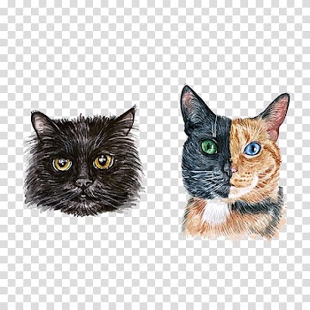 Hand-painted cute cat watercolor head transparent background PNG clipart