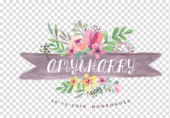 Hand-painted flowers transparent background PNG clipart