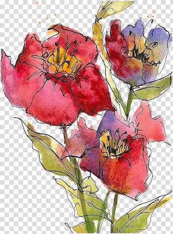 Hand-painted flowers transparent background PNG clipart