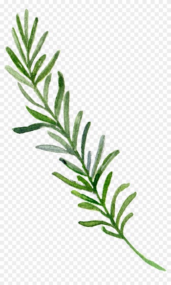 Hand-painted Leaf Border - Border Leaves Painting Png