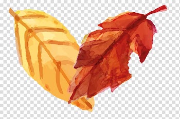 Hand-painted leaves transparent background PNG clipart