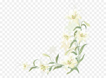 Hand-painted lily border 