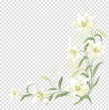 Hand-painted lily border, white lily flowers illustration transparent background PNG clipart