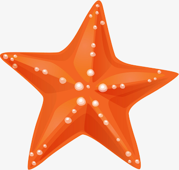 Hand Painted Orange Starfish, Orange Clipart, Starfish Clipart, Hand ...