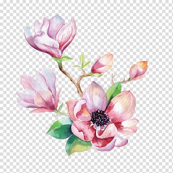 Hand-painted orchid transparent background PNG clipart