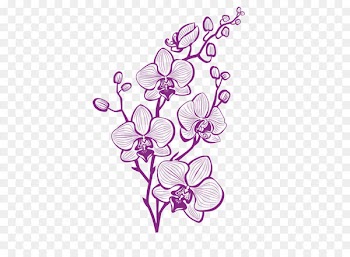 Hand painted purple orchid vector 