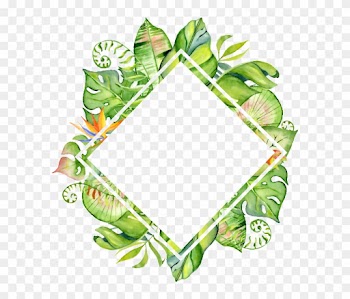 Hand-painted Rhomboid Leaf Frame Png Transparent Material - Watercolor Tropical Leaves Border