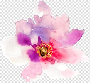 Hand-painted watercolor spring flowers transparent background PNG clipart