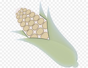 hand plant vegetarian food clip art perennial plant