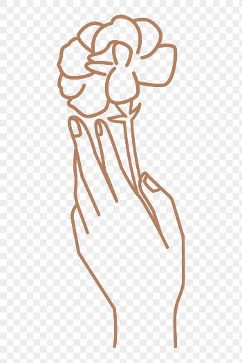 Hand png holding flower sticker, | Free PNG - rawpixel