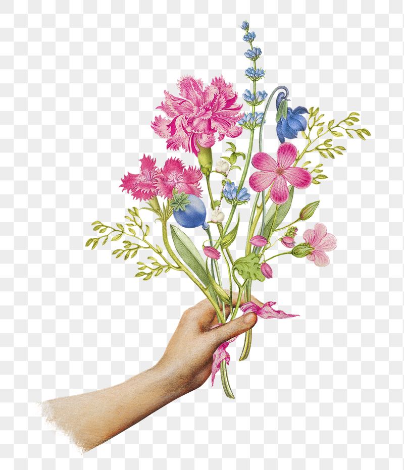 Hand png sticker holding flower | Free PNG - rawpixel