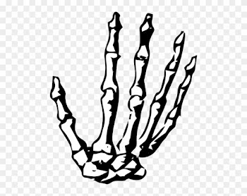 Hand,skeleton,skeleton - Manos De Esqueleto Png
