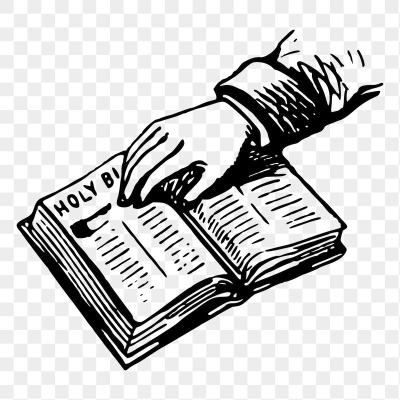 Hand touching bible png sticker, | Free PNG - rawpixel