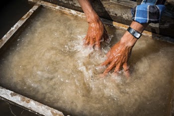 Hand washing in muddy water. | Free Photo - rawpixel