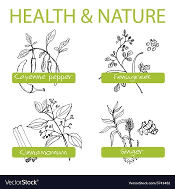 Handdrawn Set - Health and Nature Collection of vector image