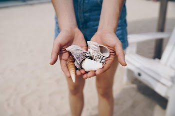 Handful Of Shells