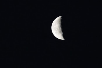 Handheld shot of the moon at dawn