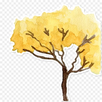 Handroanthus albus Art Cerrado Yellow Illustration - adesivos stamp 