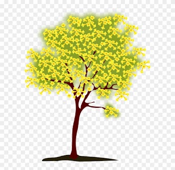Handroanthus Chrysotrichus Tree Leaf Clip Art - Handroanthus Chrysotrichus Tree Leaf Clip Art