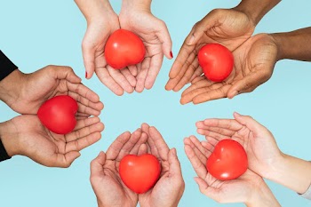 Hands cupping heart in love and relationship… | Free stock photo | High Resolution image