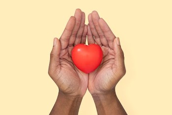 Hands cupping heart in love and relationship… | Free stock photo | High Resolution image