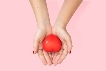 Hands cupping heart in love and relationship… | Free stock photo | High Resolution image