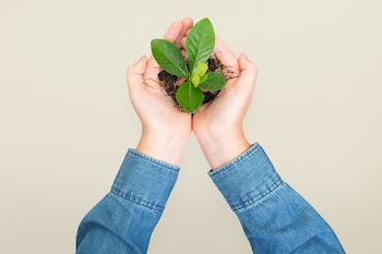 Hands cupping plant save the environment… | Free stock photo | High Resolution image
