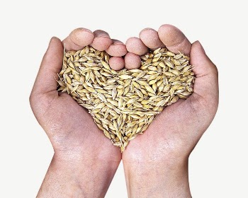 Hands cupping wheat grains collage | Free PSD - rawpixel