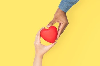Hands holding heart in love and relationship… | Free stock photo | High Resolution image