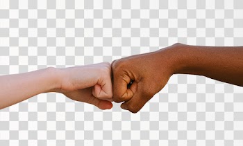 Hands of two people doing fist bump, PNG transparent background. Author @shvetsa / Pexels.com